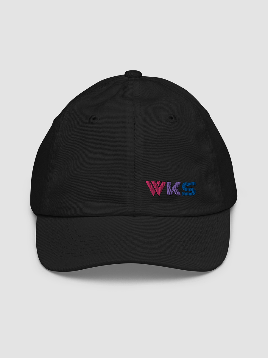 Subtle Bi Pride Cap product image (1)