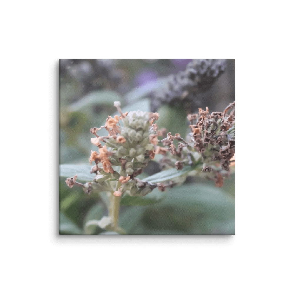 A Study in Flowers 2 product image (33)