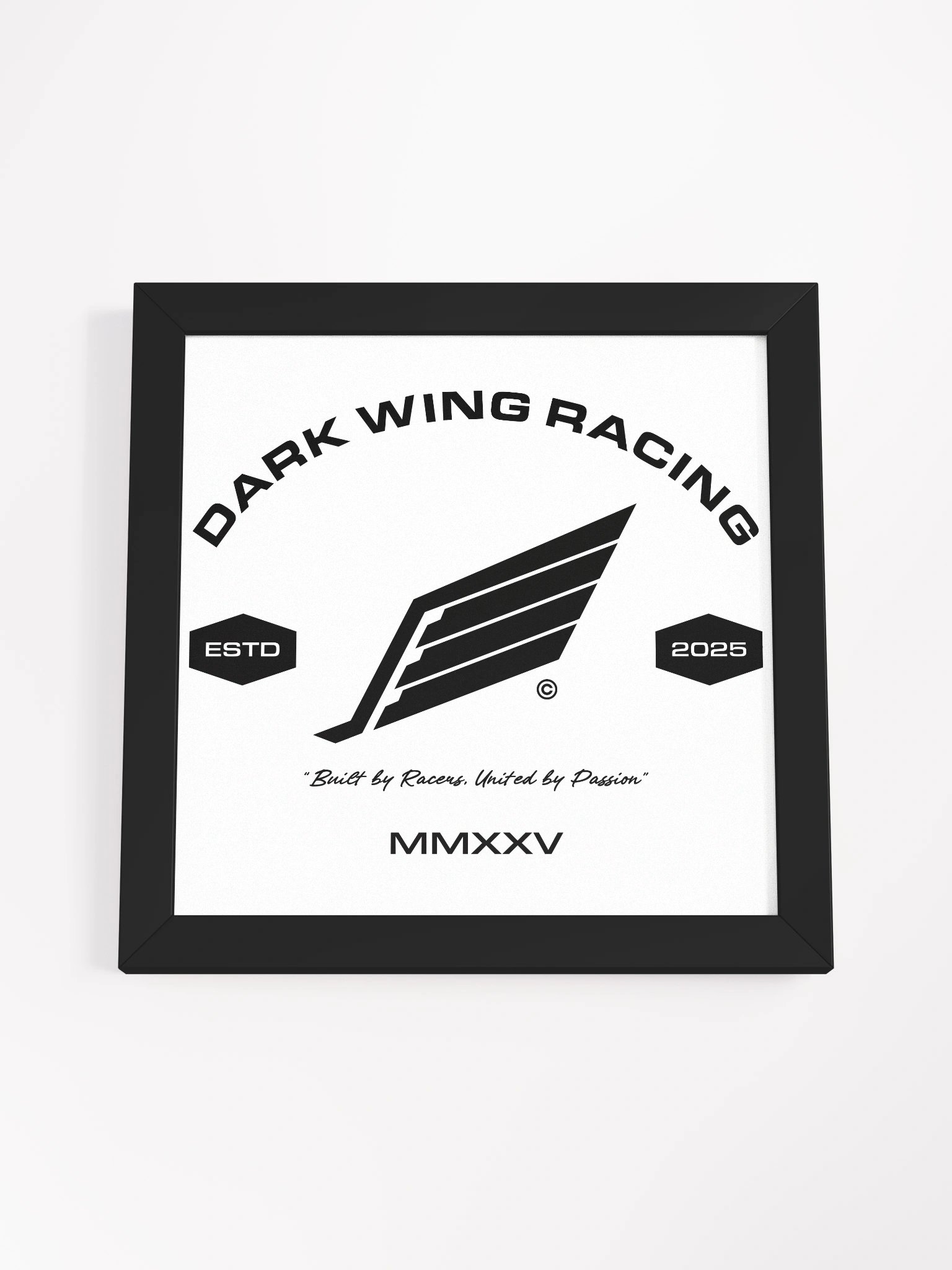 DWR Framed Crest White Canvas product image (49)