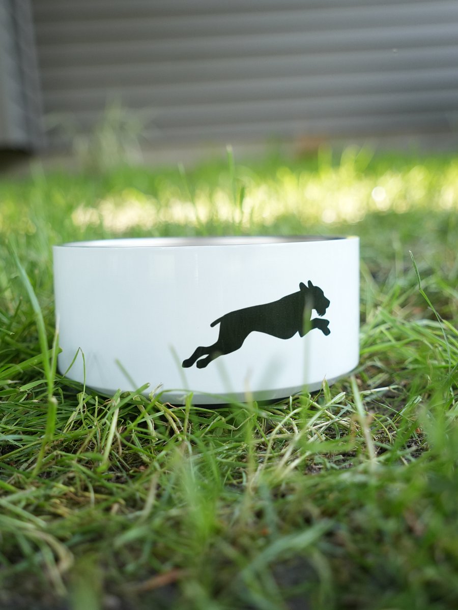 Dog Bowl product image (3)