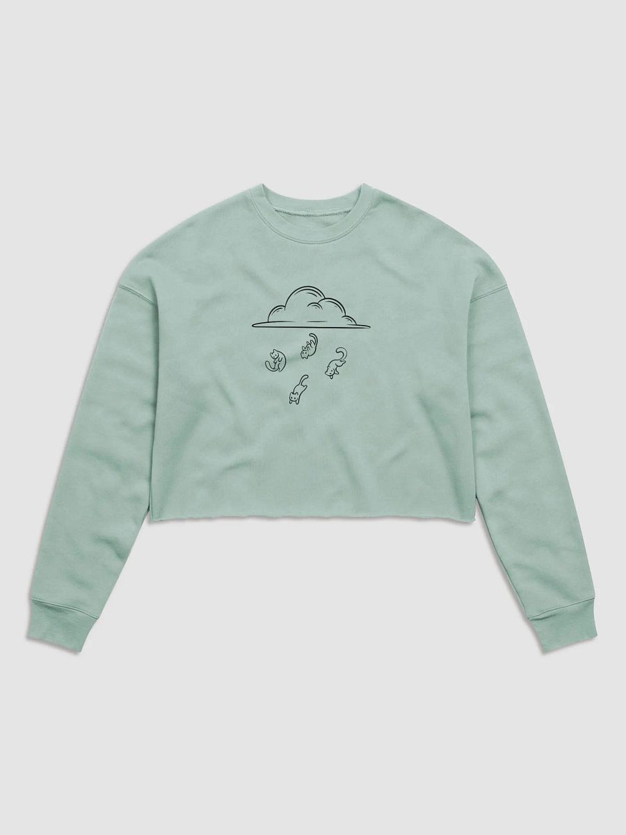 Raining With Cats Crop Sweatshirt product image (22)