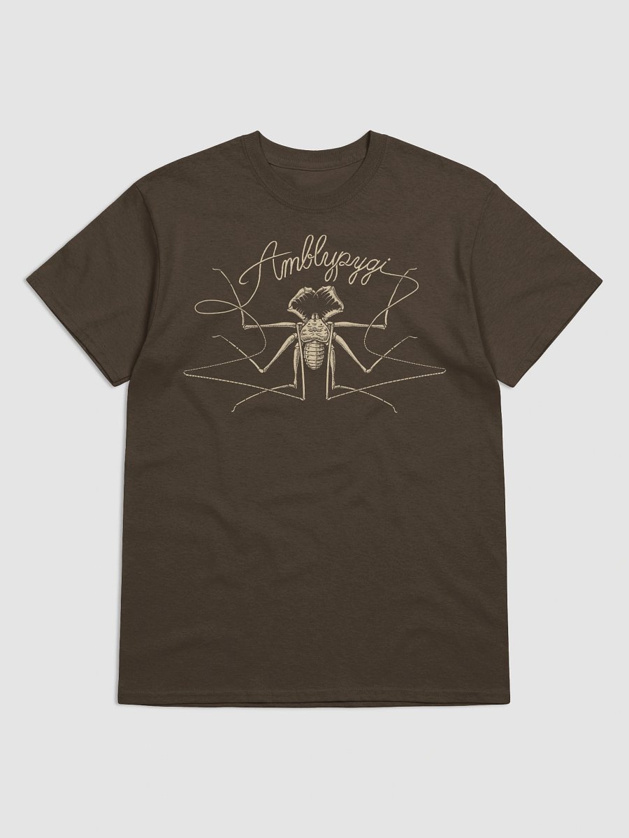 AMBLYPYGI - Whip Spider Shirt product image (3)