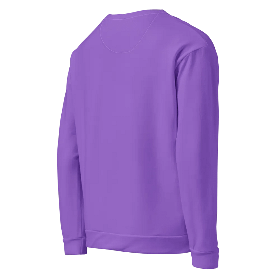 Plain Color Amethyst Sweatshirt product image (4)