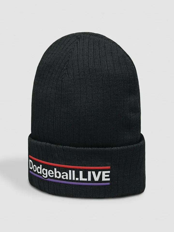 Dodgeball.LIVE HZ Knitted Toque (Light) product image (2)