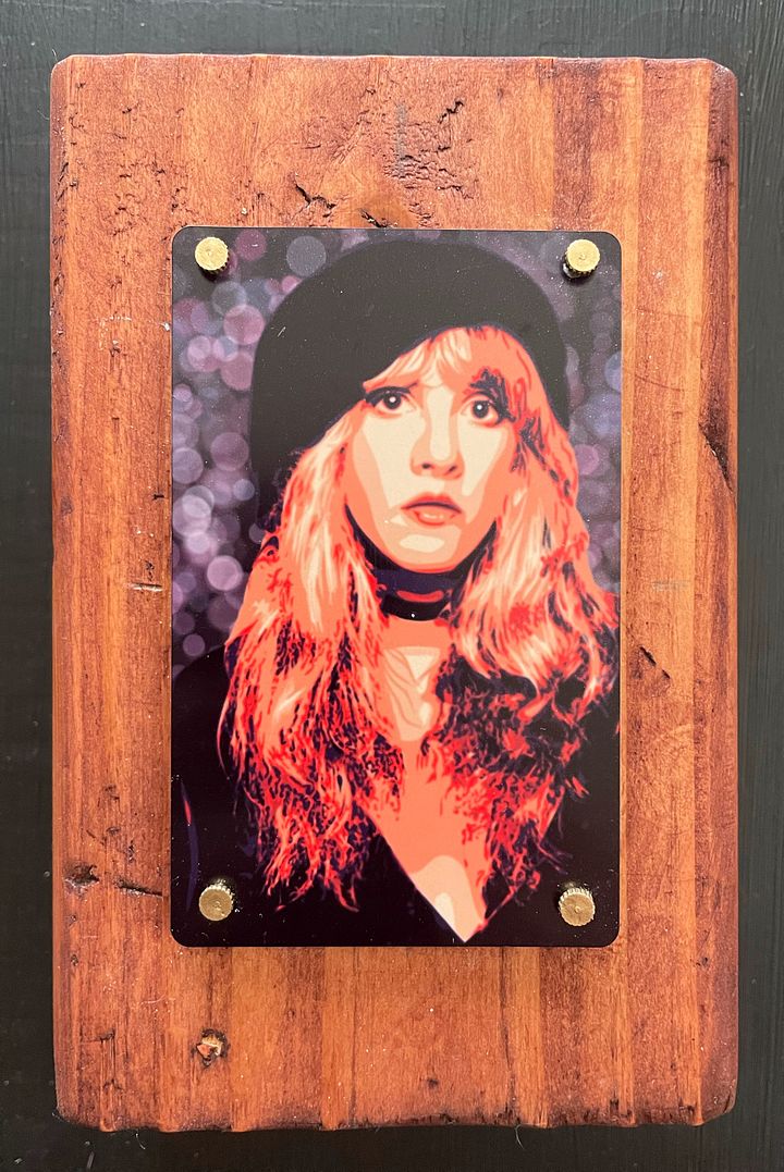 Blocked: Stevie Nicks product image (1)