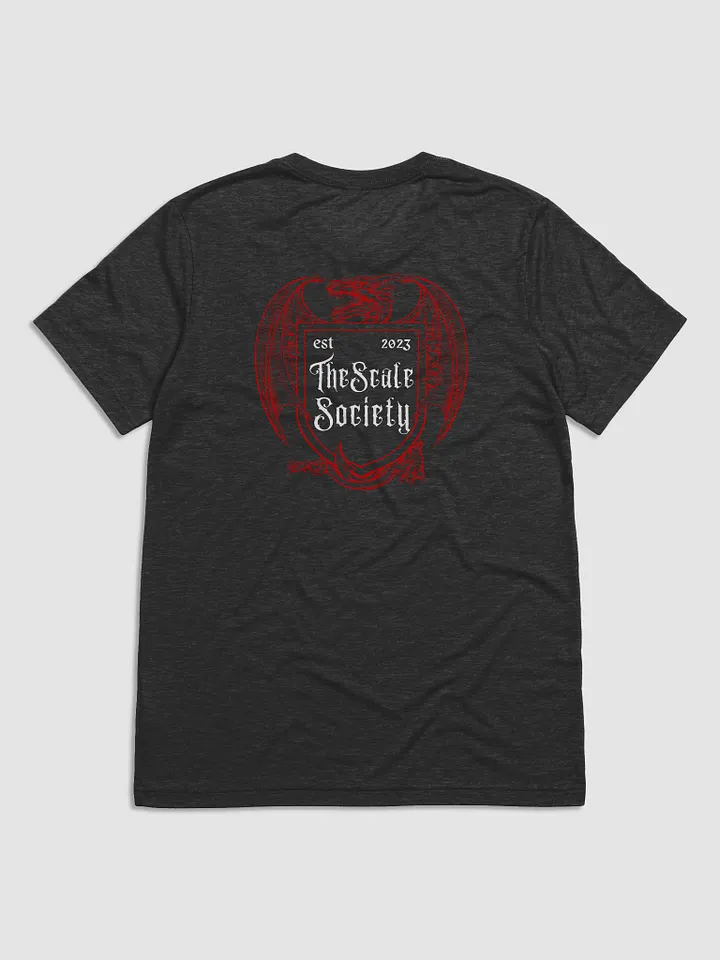 Here For The Dragons Scale Society Triblend T Shirt product image (2)