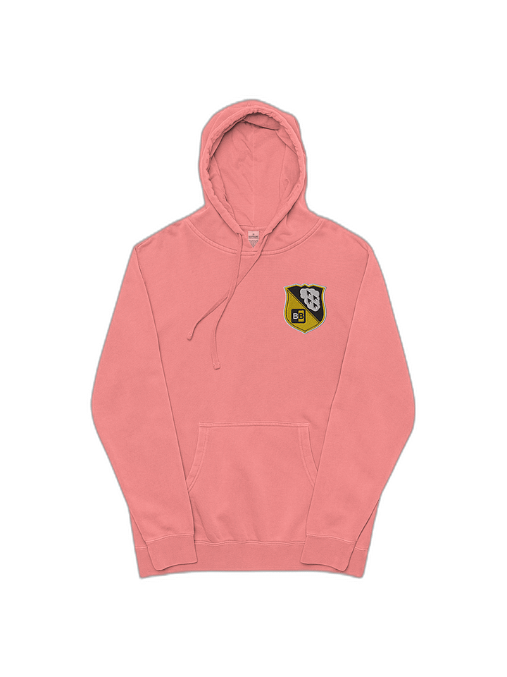 TBB (Embroidered) Look, hoodies are nice. product image (1)
