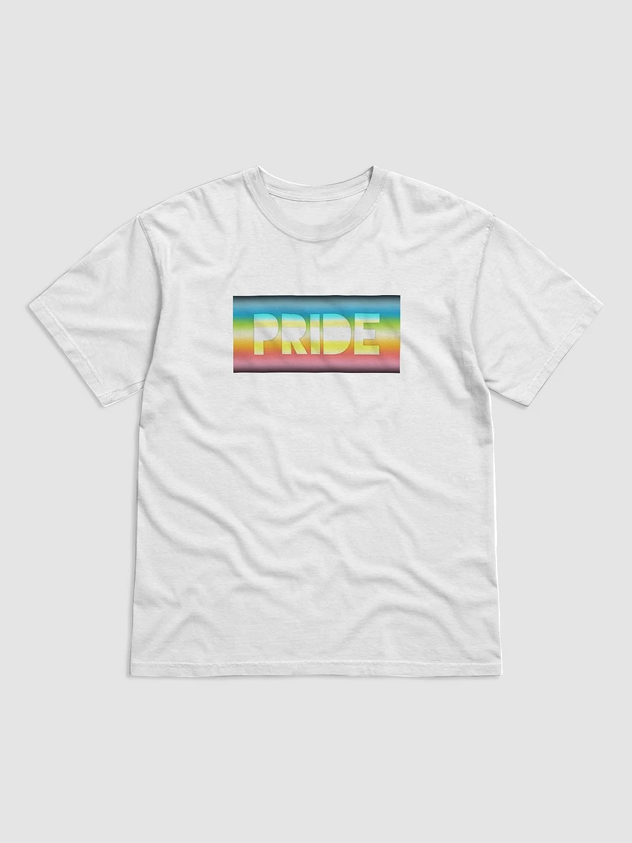 Queer Pride On Display - T-Shirt product image (1)