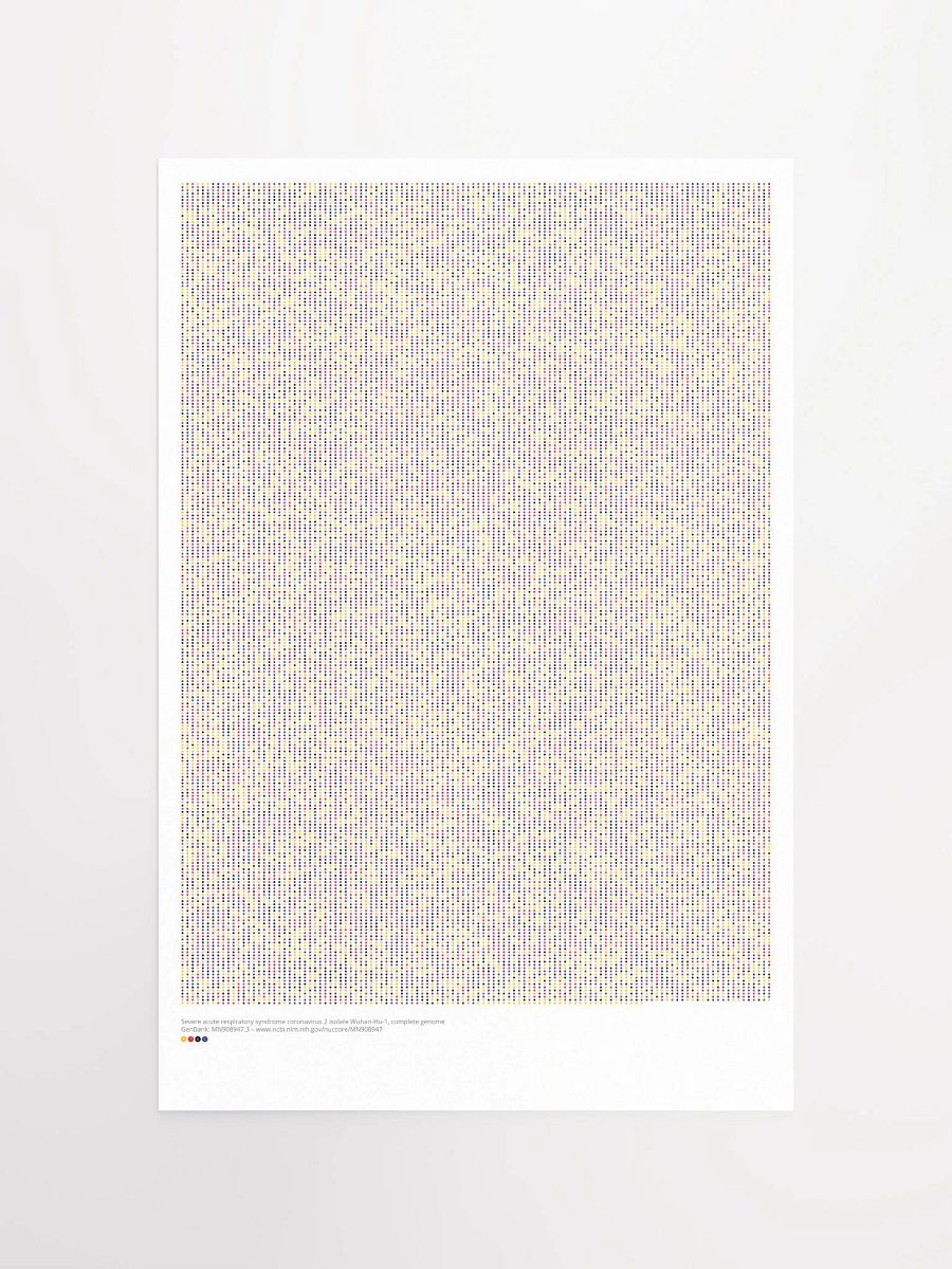 Coronavirus Genome Printed Poster (Unframed) product image (3)