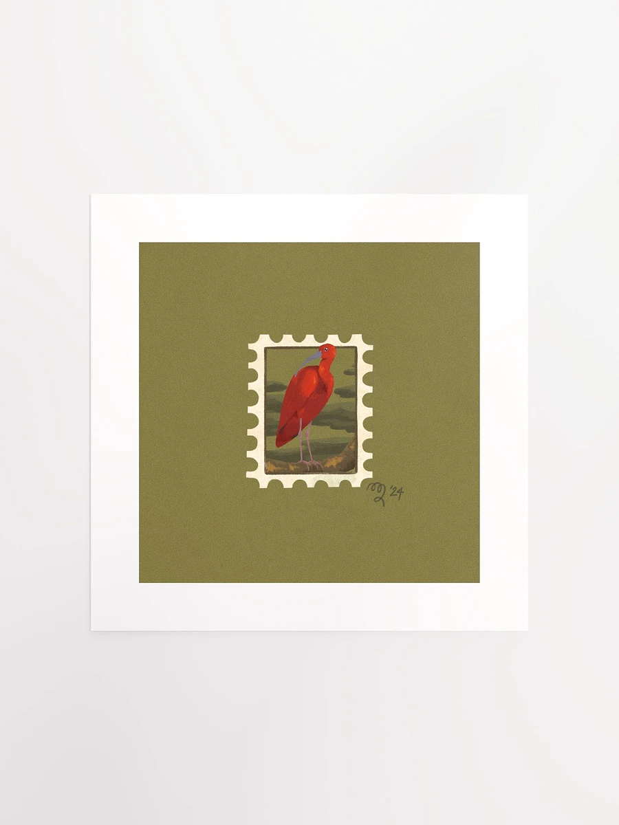 Scarlet Ibis Stamp Print – Birbfest 2024 product image (2)