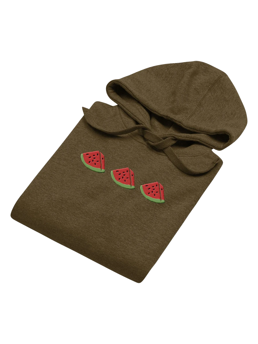 Sandia Embroidered Hoodie (green) product image (3)