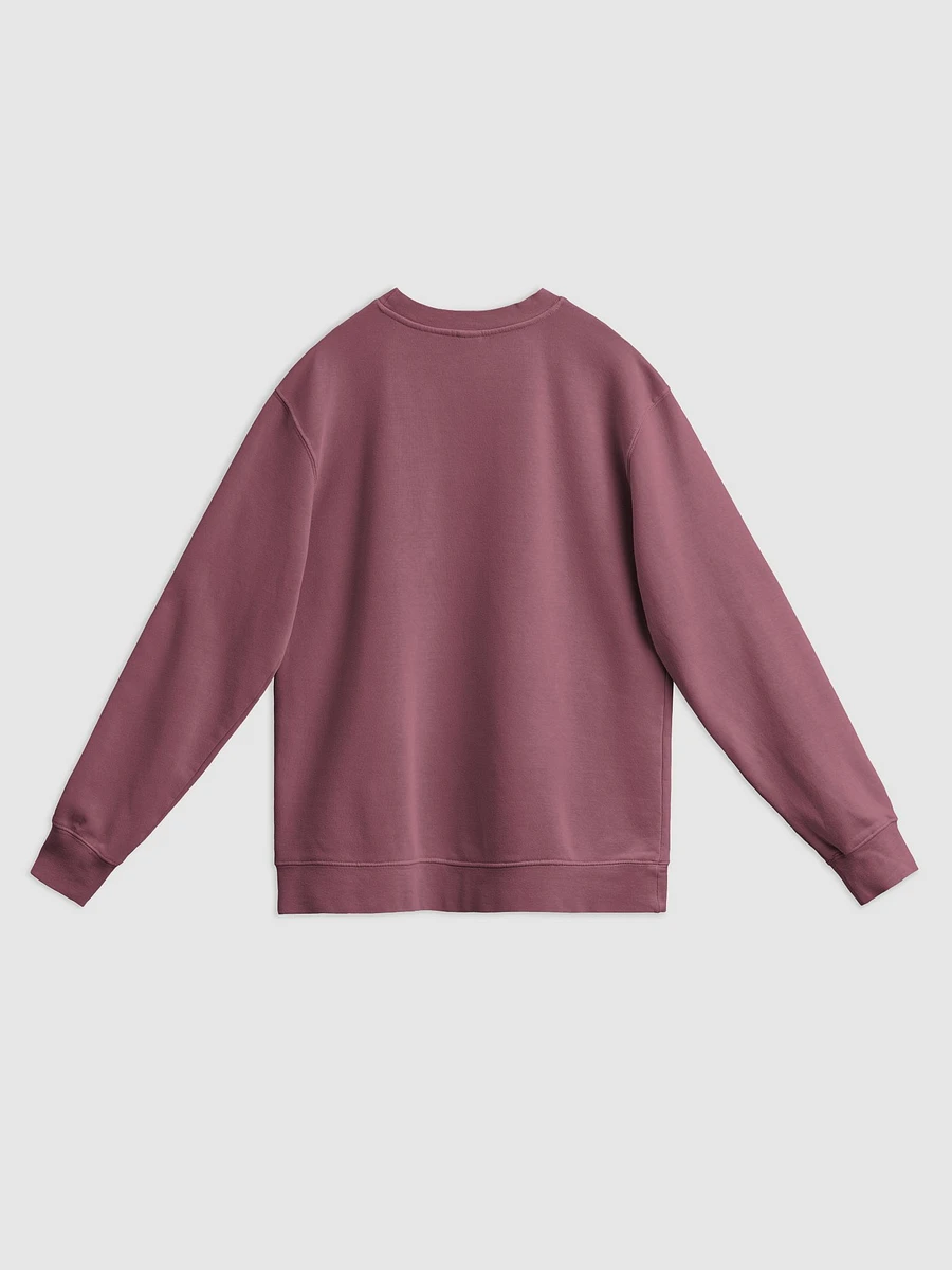 SOCIAL LIFE // crewneck product image (22)