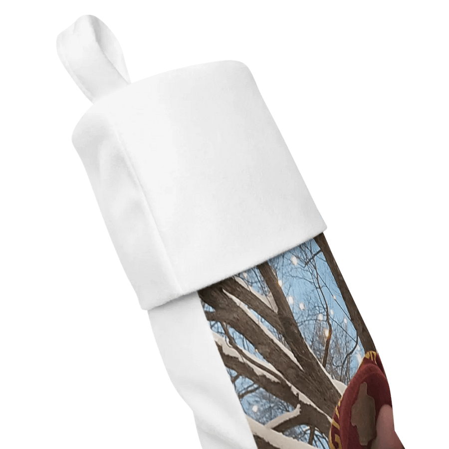 Official TheEllisName Stocking product image (3)
