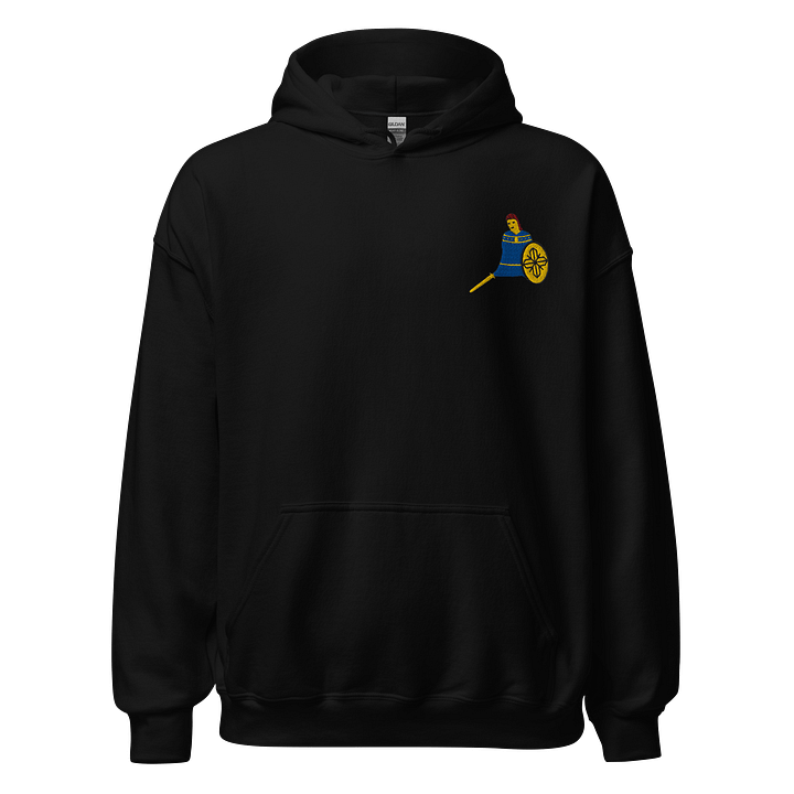 Shieldmaiden - Hoodie product image (1)