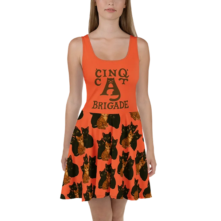 Kitty Chic Sleeveless Dress product image (2)