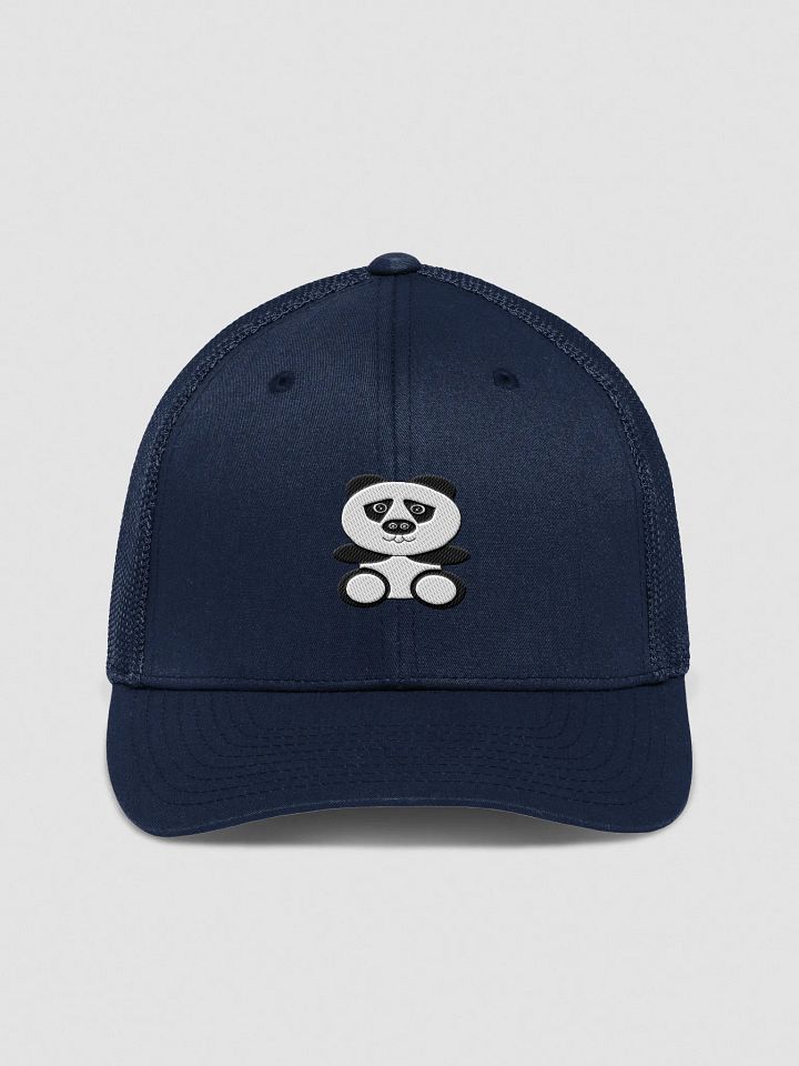 Chic Mesh Back Trucker Hat product image (2)