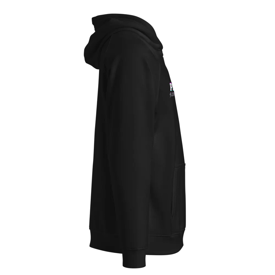 Pluviophile Raglan Hoodie product image (3)