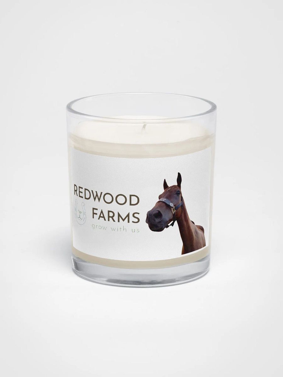 Remember product image (1)