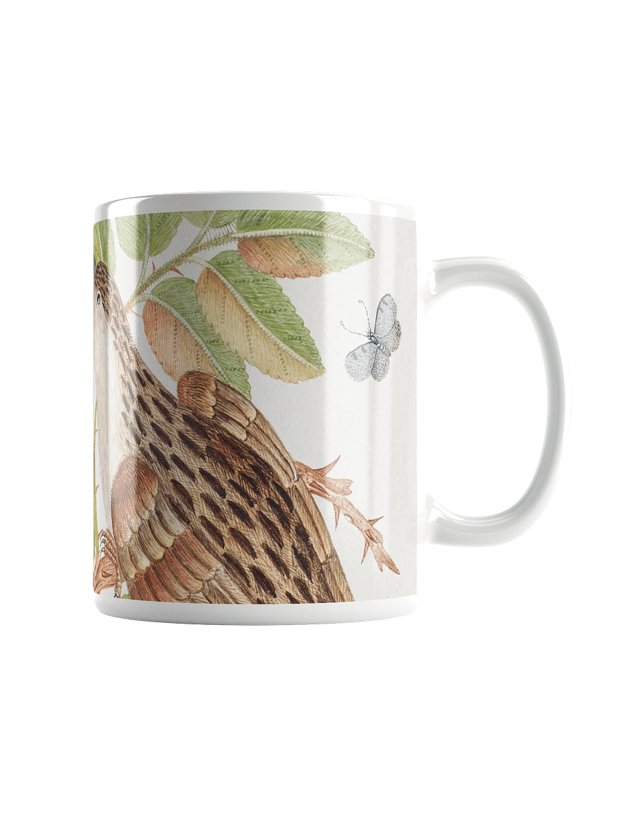 Whimsical Aviary Mug product image (1)