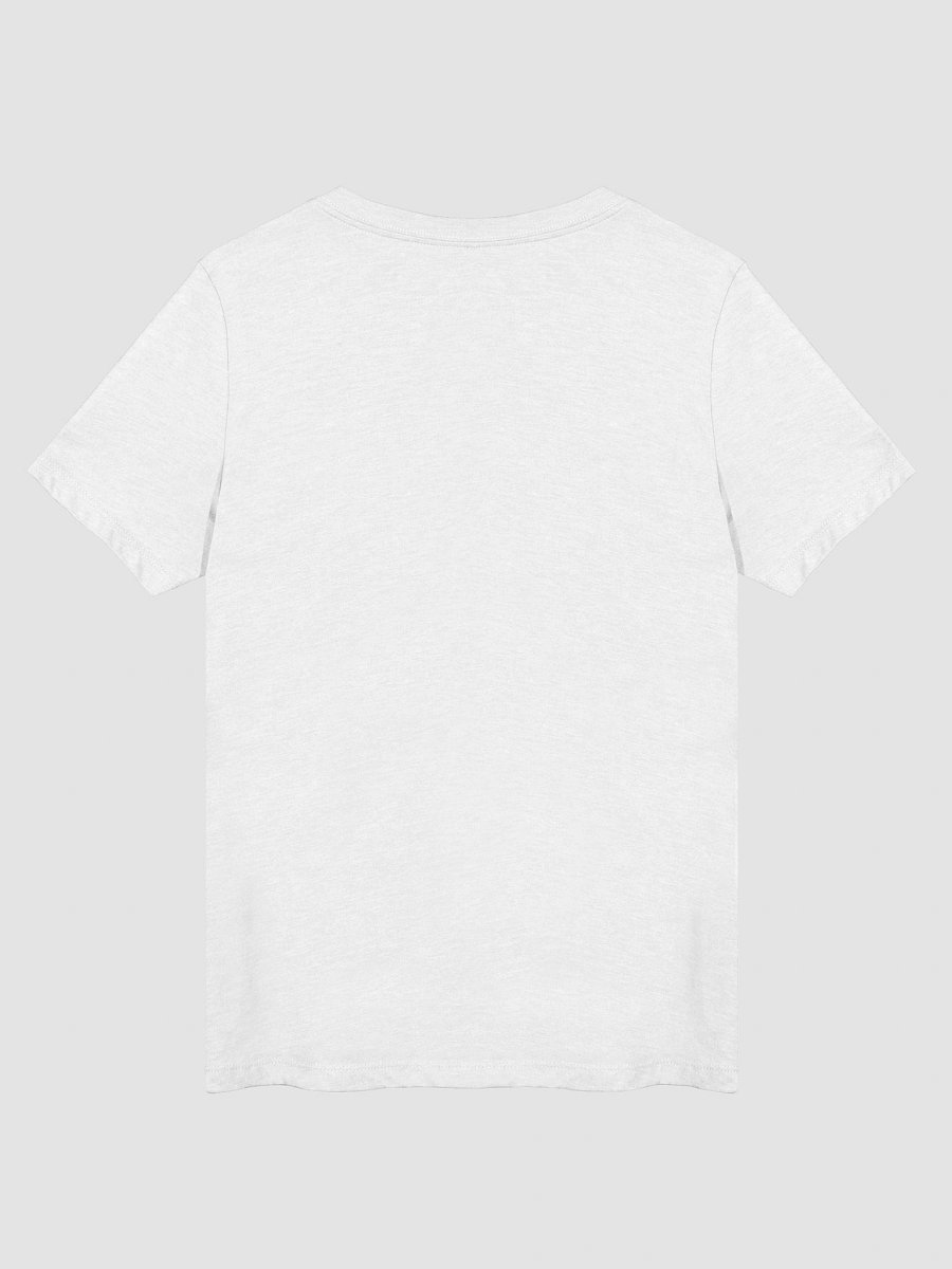 Singer From Kazakhstan Bella Canvas Unisex V-Neck product image (3)