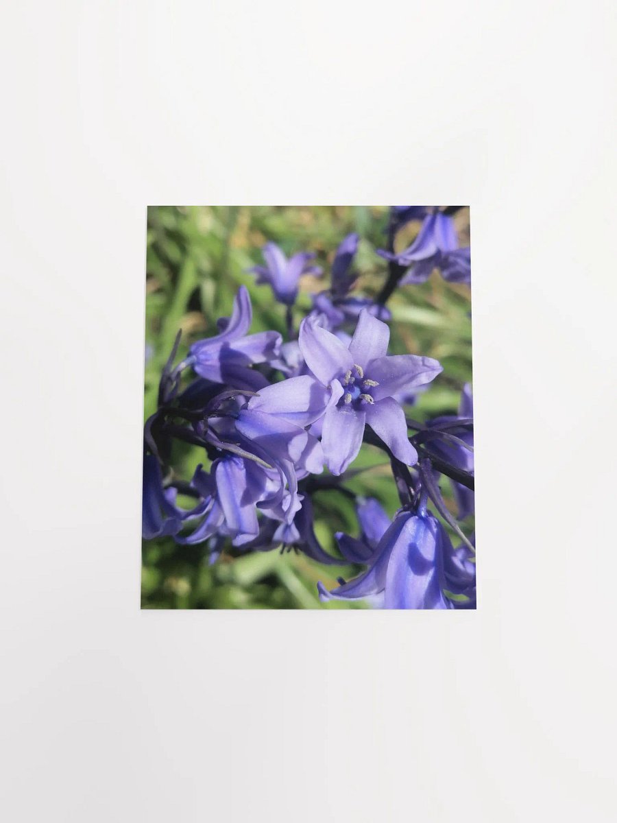 Bluebell Print Poster, Floral Art Poster, 8x10 or 16x20