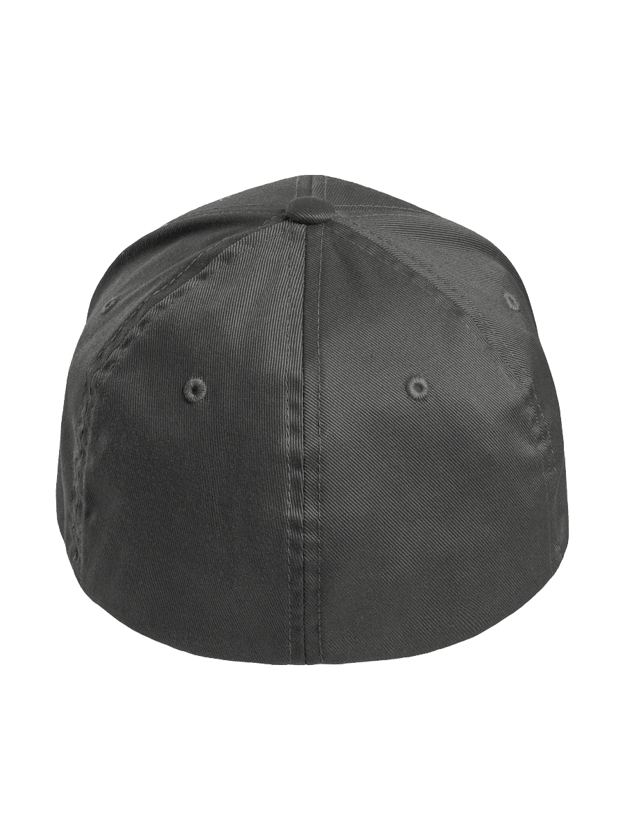 foreheadkissesforthehomies flex cap (blue) product image (4)