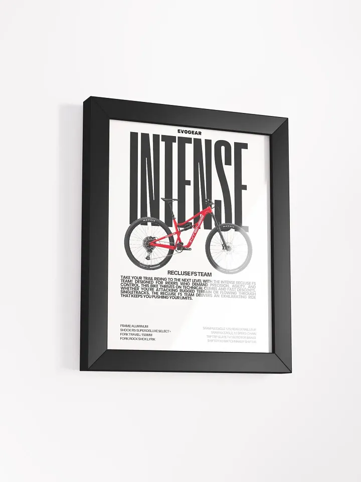 Intense Recluse FS Team Frame product image (9)