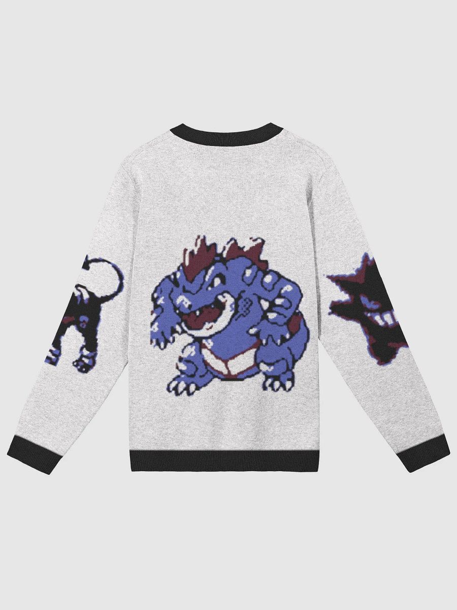 SILVER TEAM ! FERALIGATR GENGAR HOUNDOOM product image (6)