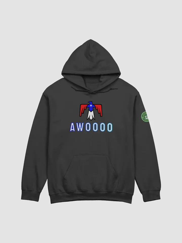 Texas Thunderbird Hoodie product image (1)