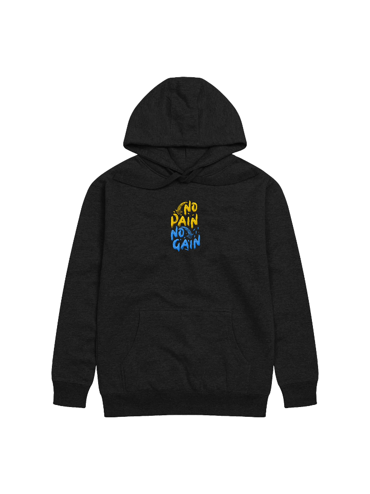 No Pain No Gain! Center Embroidered Hoodie product image (1)