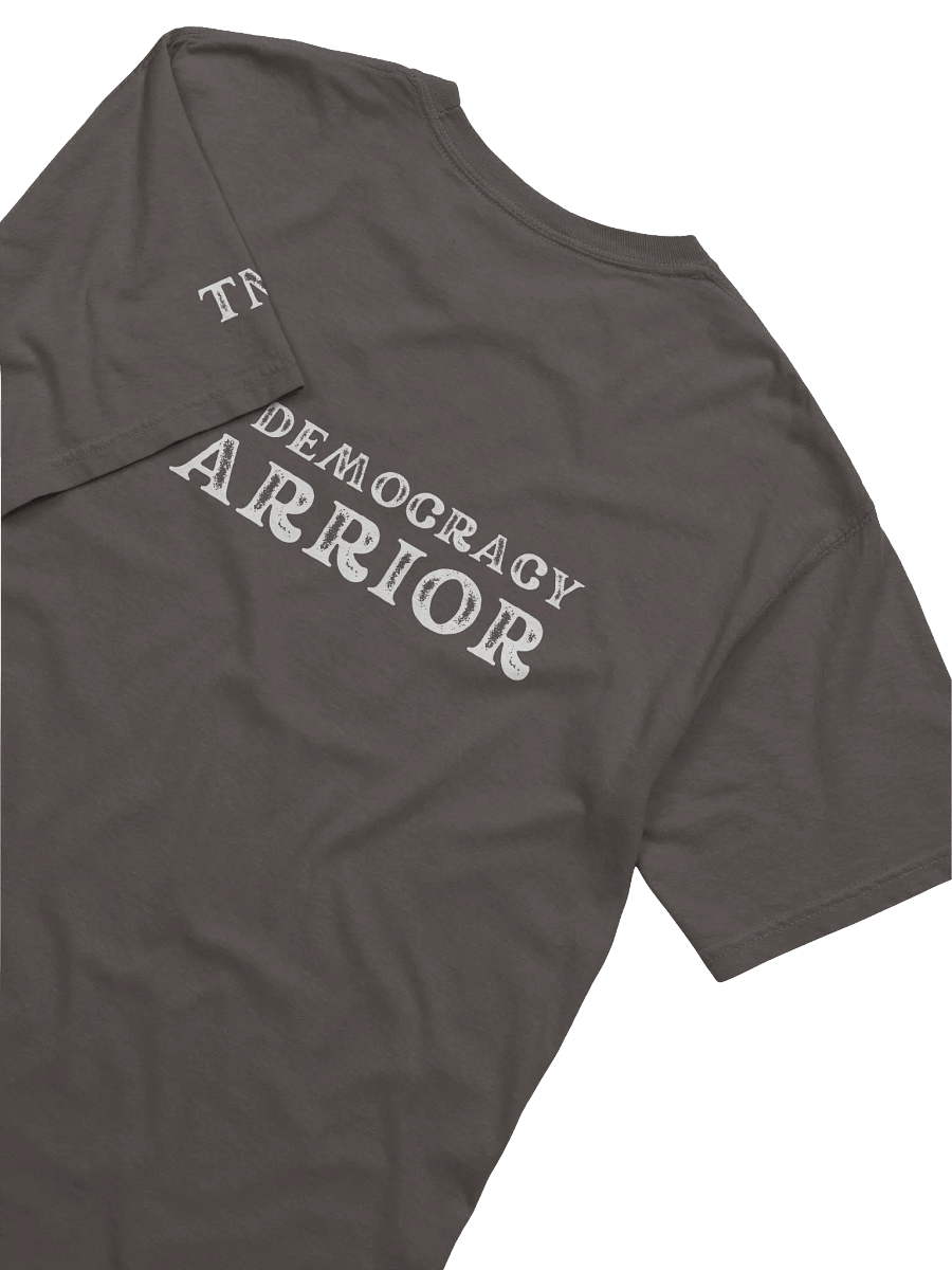 Pro-Democracy Warrior - Back Graphic Unisex T-shirt product image (4)