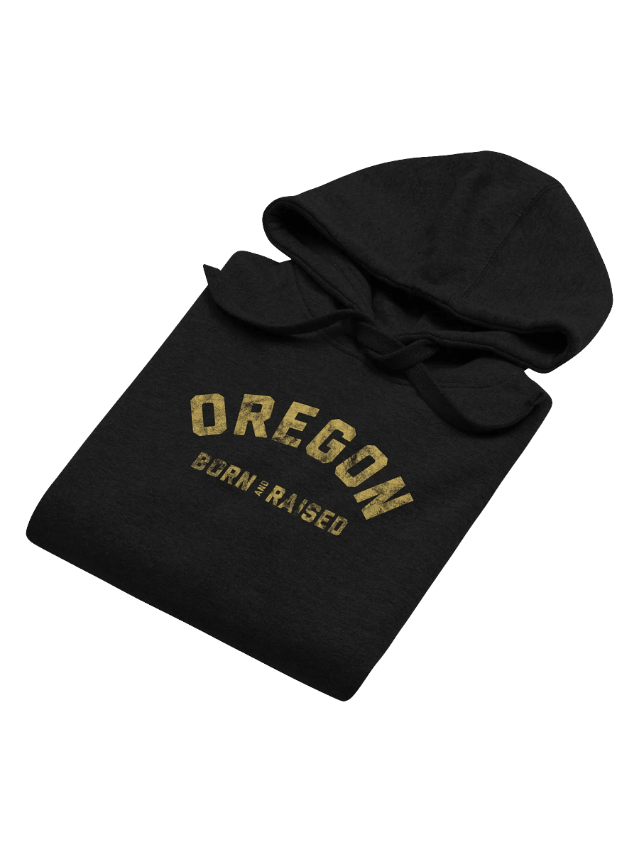 Oregon Born and Raised Hoodie product image (6)