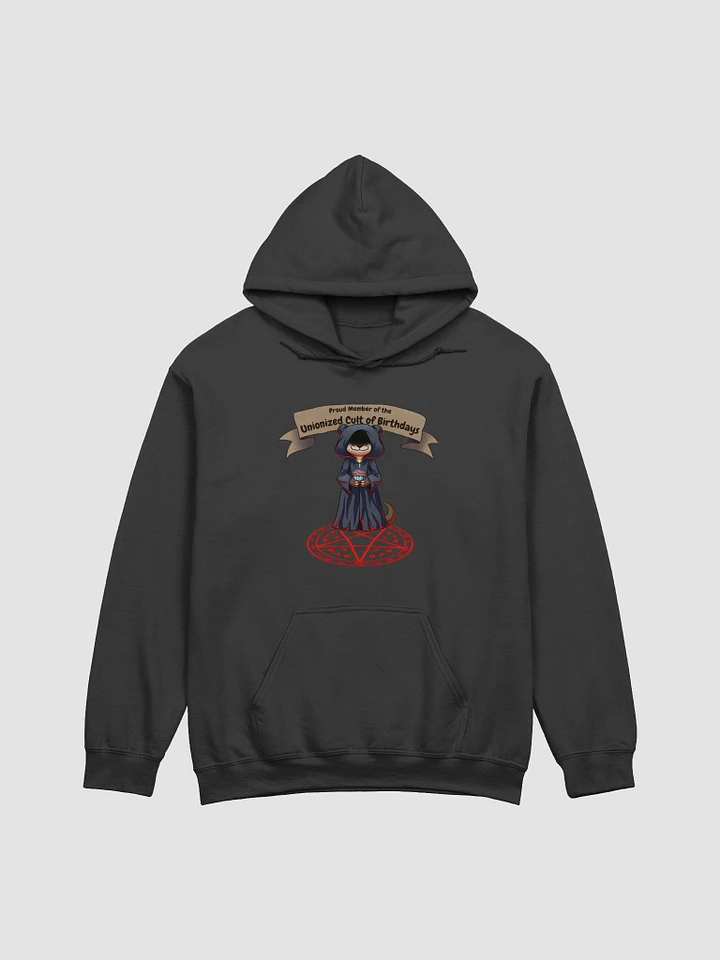FG Birthday Cult Hoodie product image (5)