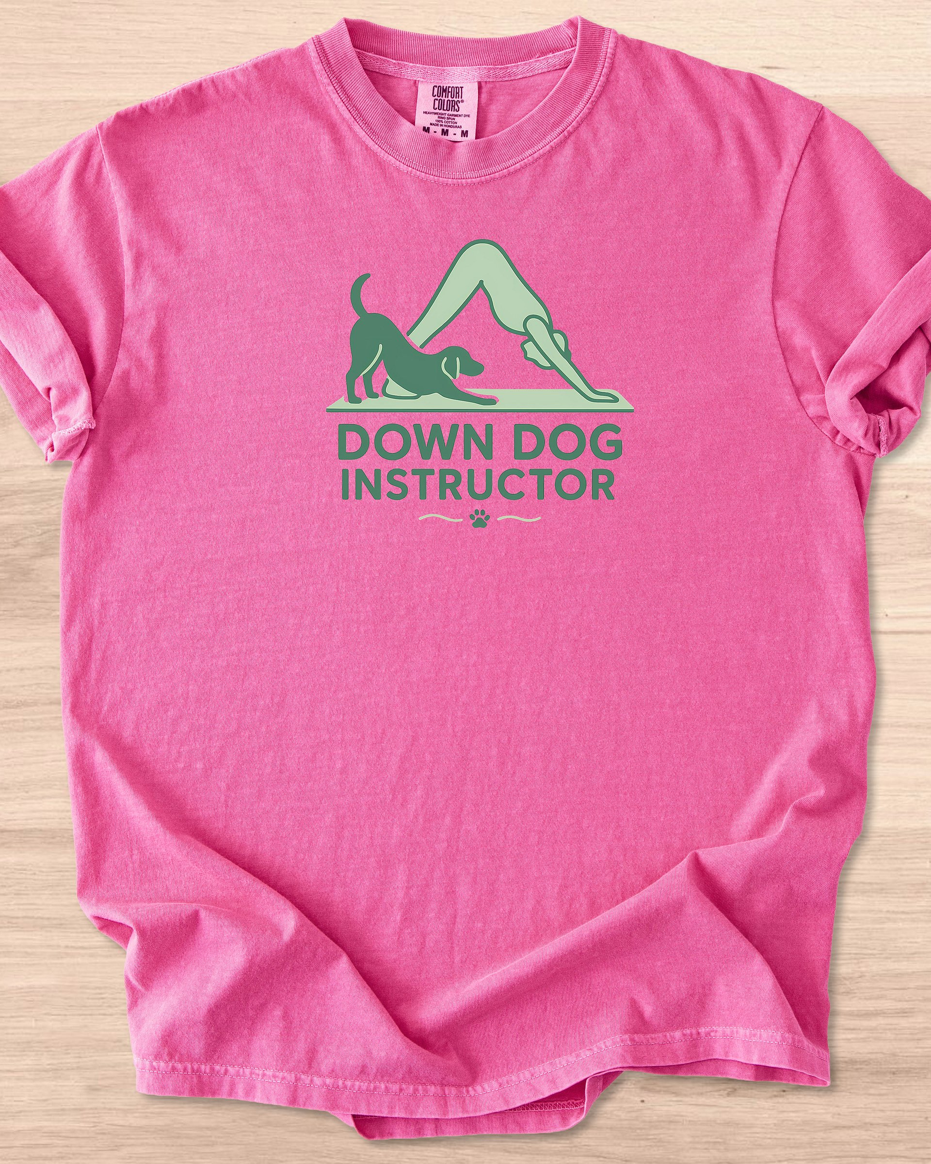 Down Dog Instructor Tee product image (13)