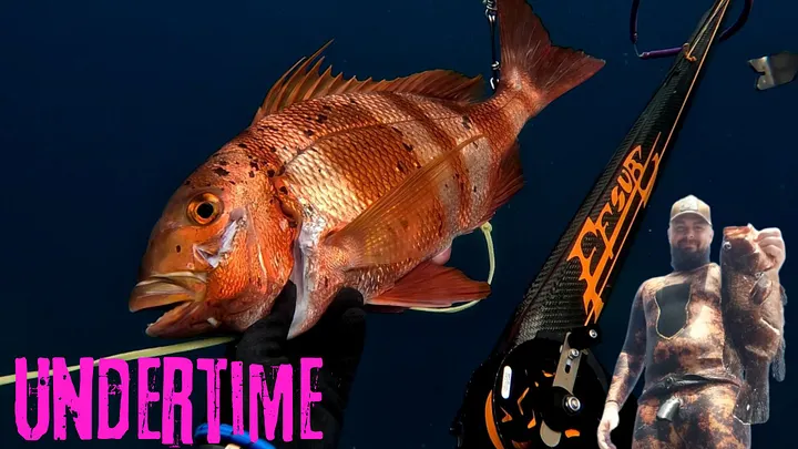 Pesca submarina en Gran Canaria VOL1 product image (1)