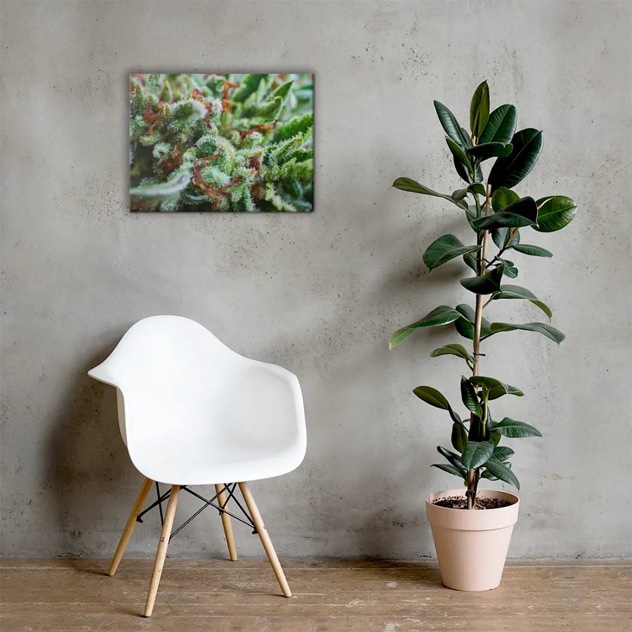 Cannabis Flower Canvas product image (5)
