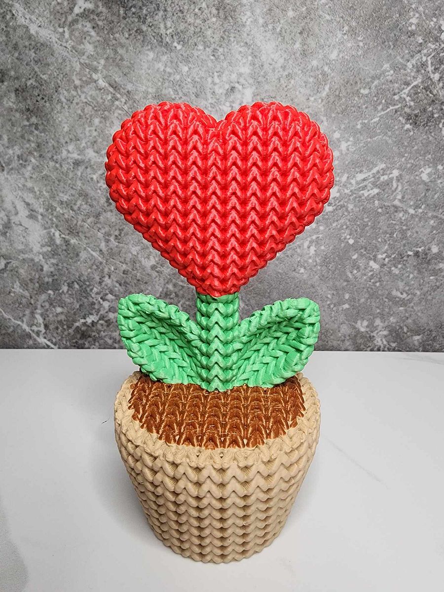 "Knitted" Heart Plant in a Pot product image (1)