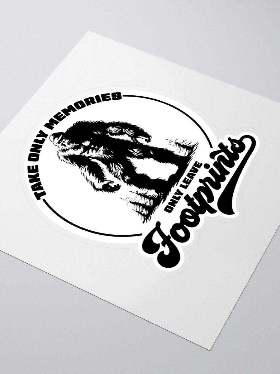 Take Memories Leave Footprints Funny Hiking Sticker product image (8)