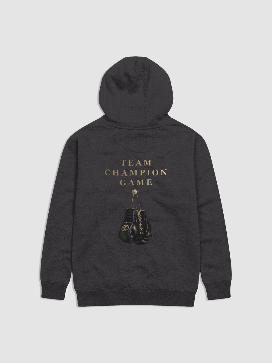 Team Champion Game Hoodie product image (1)