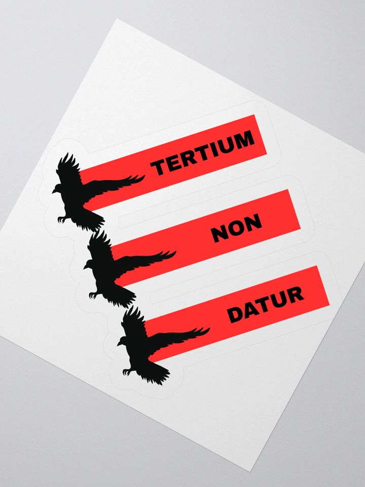 LIMITED - NO THIRD WAY STICKER product image (5)