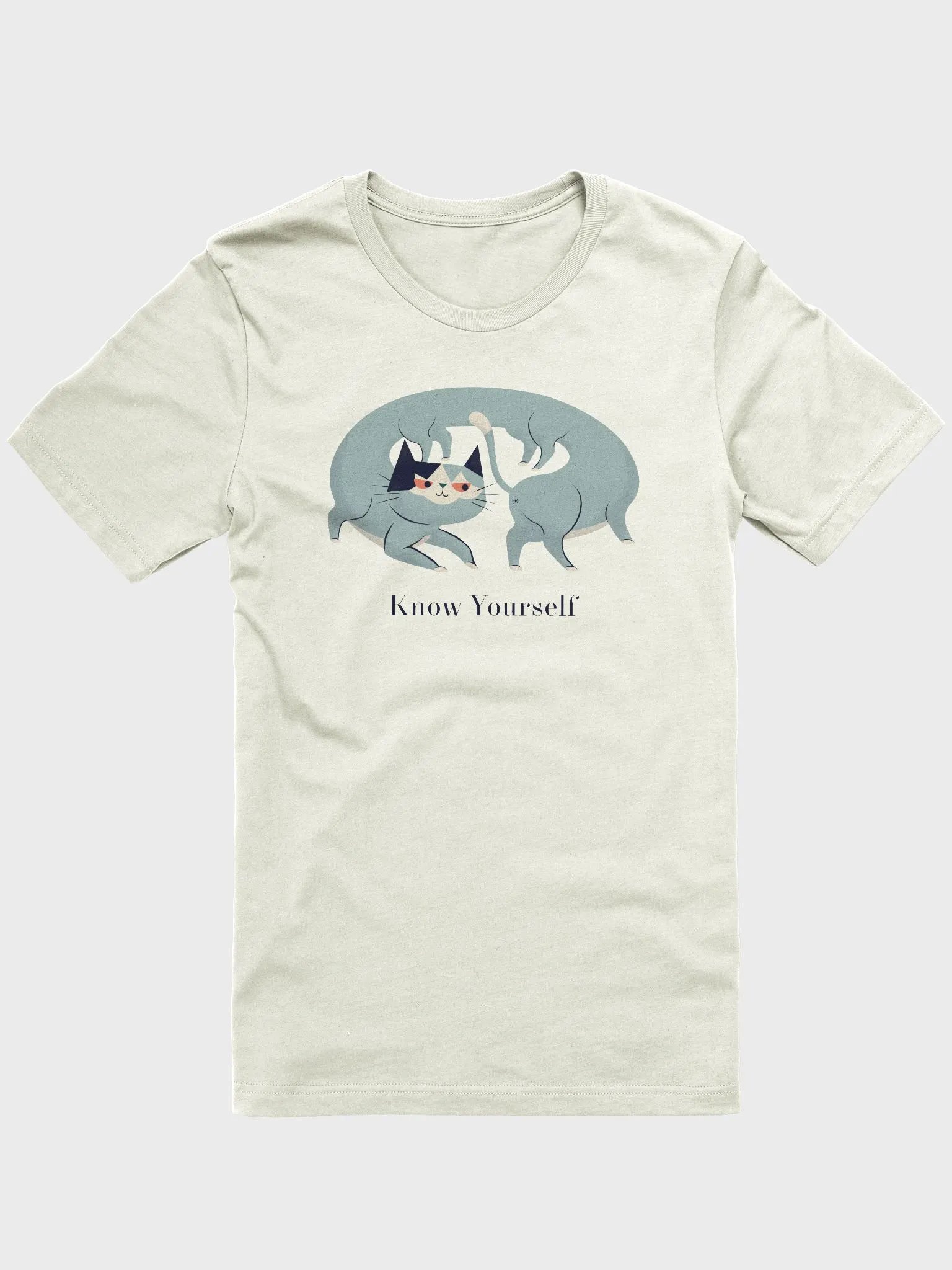 Know Yourself Lightweight Unisex T-Shirt product image (1)