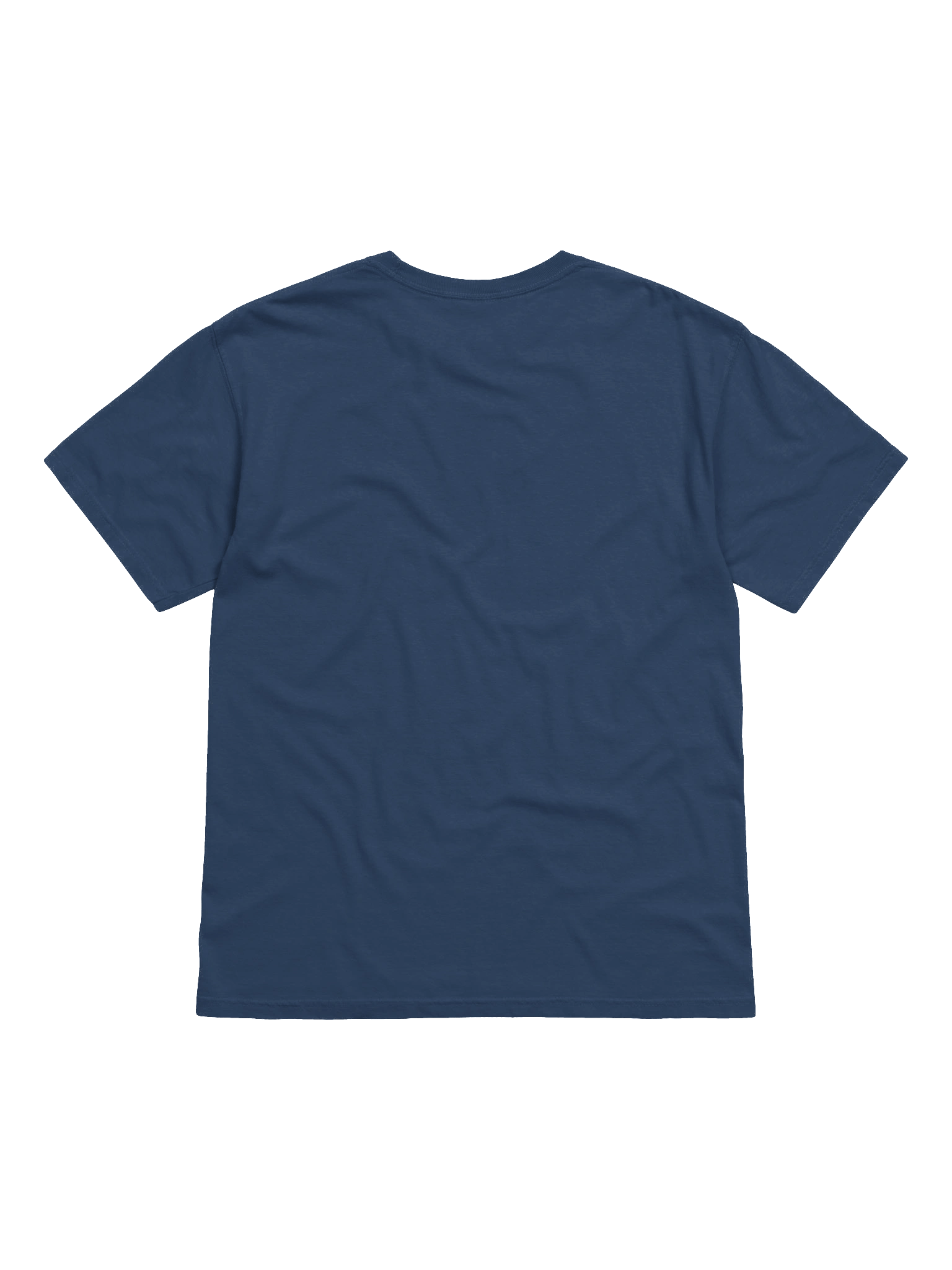 Trans Pride Skull Military T-Shirt product image (16)