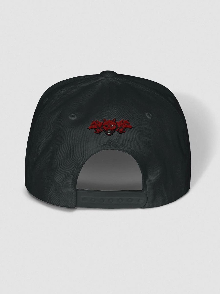 Reverse Logo Hat product image (4)
