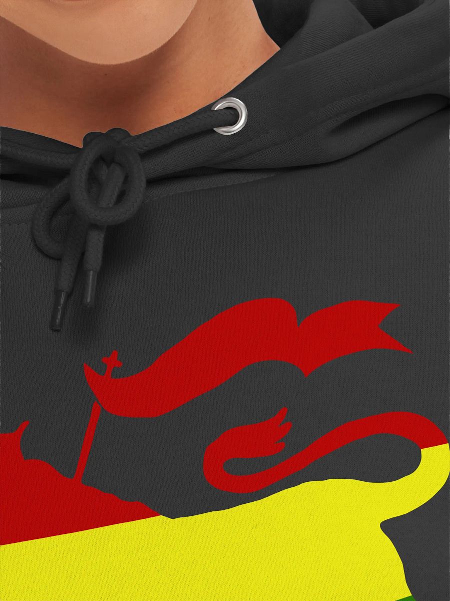 Christafari Lion of Zion Premium Hoodie product image (7)