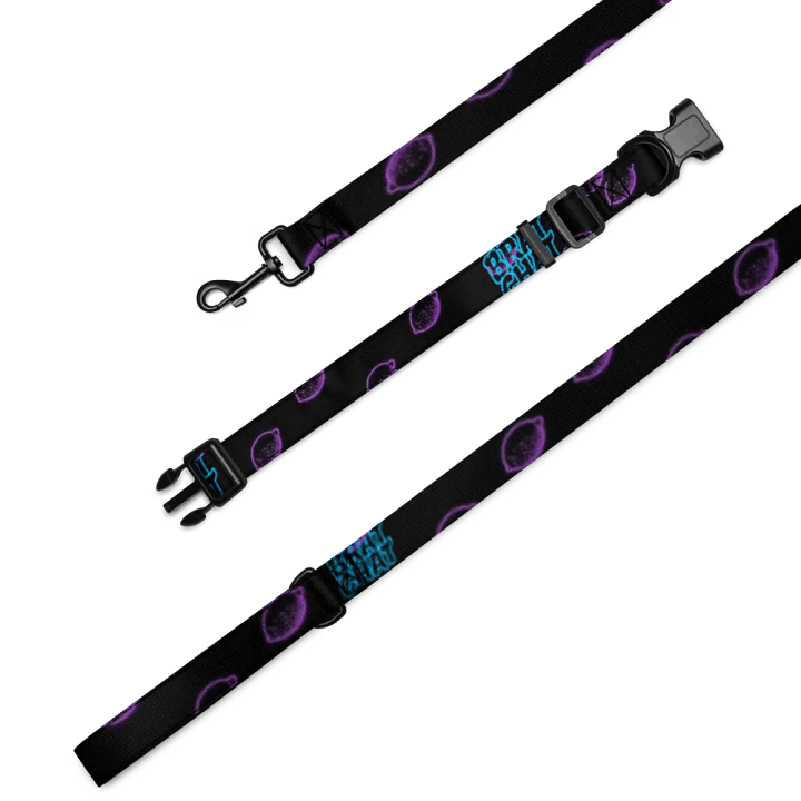 Brat Chat Leash and Collar product image (2)