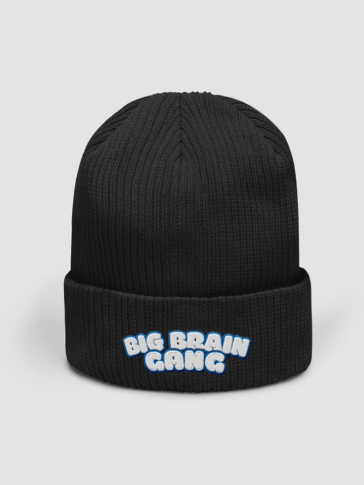 Big Brain Gang Embriodered Beanie product image (1)
