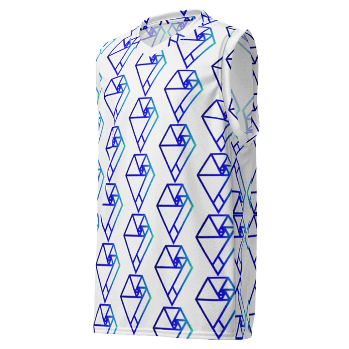 DBK Jersey Inverse Back product image (1)