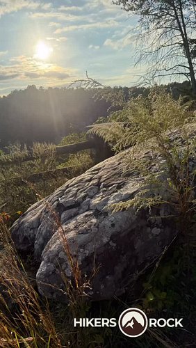 Love discovering the textures of nature. These photos were from our last adventure. Share some of your photos with us. We wou...