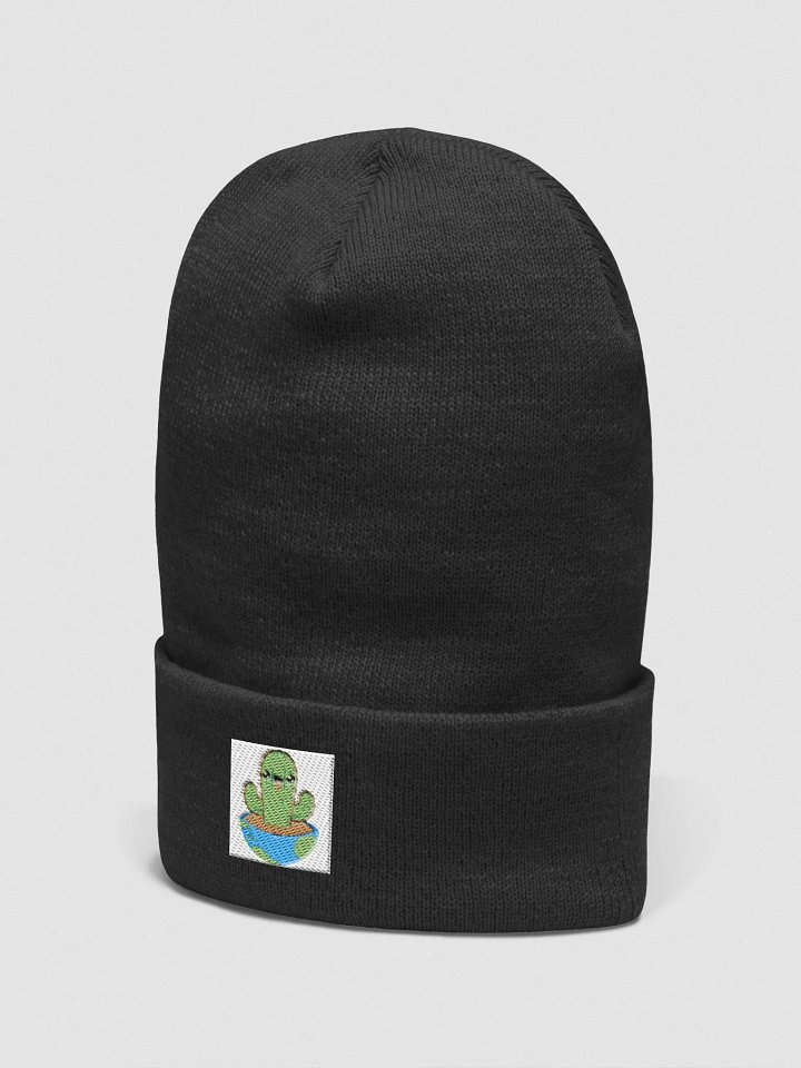 Hen's Cactus product image (3)