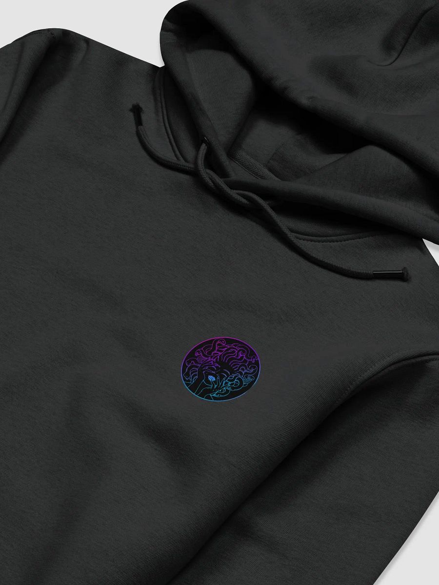 Drakainess Logo Hoodie product image (13)